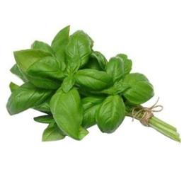 BASILIC  VERT LOCALE A LA BOTTE 40GR