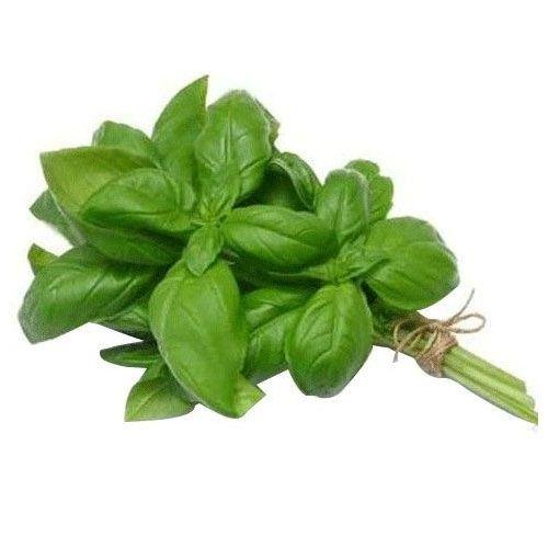 BASILIC  VERT LOCALE A LA BOTTE 40GR