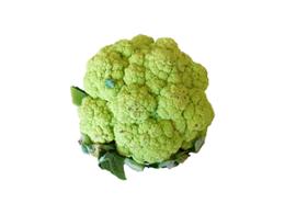 CHOUX FLEUR VERT A LA PIECE USA