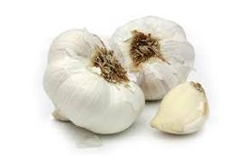 AIL BIO COLLOSAL AU KG