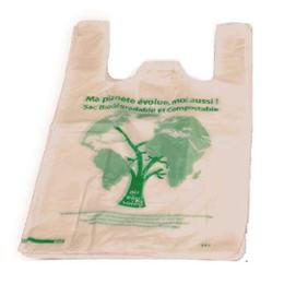 SAC BRETELLE BIOSOURCE 26cm x 30 x 100PC