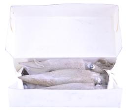 CALAMAR 450G