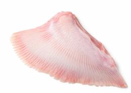 AILE DE RAIE PELEE VRAC 5KG