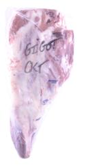 GIGOT D'AGNEAU CKT 1ER CHOIX +/- 3KG