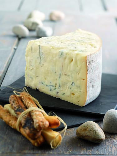 GORGONZOLA AOP +/- 1.5KG