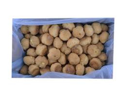 CHOUX A LA VANILLE  CARTON DE 40G x 60