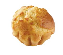 BRIOCHETTE CUITE S. GLUTEN 50Gx50