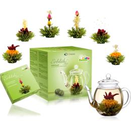 COFFRET THEIERE/6 FLEURS DE THE VERT