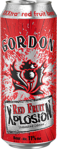 BIERE XPLOSION RED FRUIT 11% 50CL