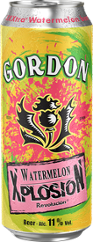 BIERE XPLOSION WAREMELON 11.0% 50CL