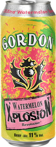 BIERE XPLOSION WAREMELON 11.0% 50CL