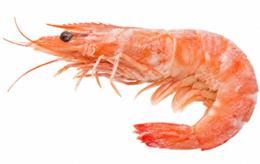 CREVETTE P&D CUITE 31/40 400G